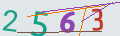 verifycode